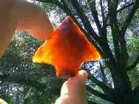 elora.webp