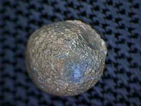 musketball shot.webp