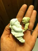 lady head.webp