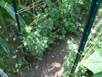 100_5550 (2).webp 100_5550 (2).webp
