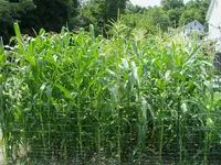 100_5553.webp 100_5553.webp