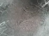 untitled yea.webp