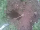 untitled 2.webp
