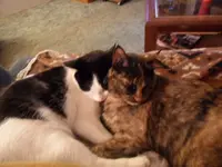 good pics 010.webp