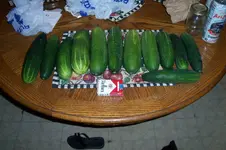 100_5596.webp 100_5596.webp