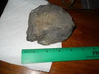 DSCN1829.webp DSCN1829.webp