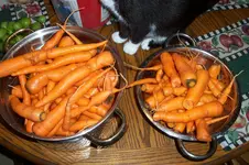 100_5630.webp 100_5630.webp