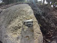 GOPR0105-1.webp