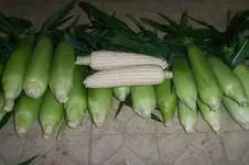100_5659.webp 100_5659.webp