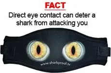 mask_strap-FACT.webp