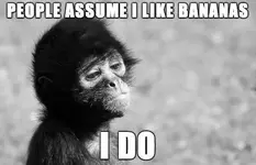 stereotyped-monkey-meme.webp
