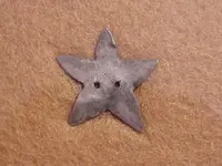 MVC-star007S.webp