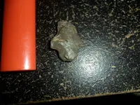 SAM_0618.webp