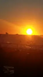 SUN.webp