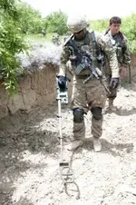 299x450_q95.webp