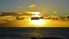 DSCN6643.webp