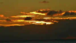 DSCN6683.webp