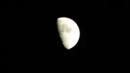 DSCN6702.webp