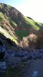 111.webp