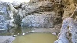 333.webp