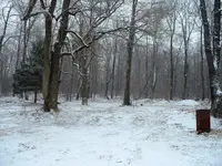 DSCF0006.webp