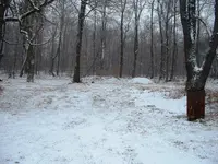 DSCF0008.webp