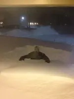 snow3.webp