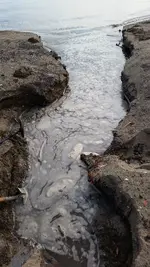 Washout.webp