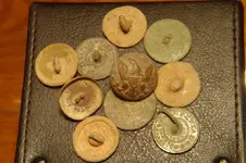 Buttons.webp