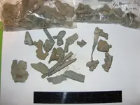 slag lead.webp