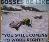 BossesislikeYoustillcomingtoworkRight.webp