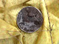 ImageUploadedByTreasureNet.com1419948090.663398.webp
