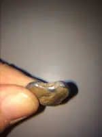 ImageUploadedByTreasureNet.com1422487126.832981.webp