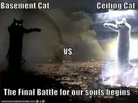 basement vs cealing cat.webp