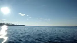 10868041_1533864716869520_4465433534250859791_n[2].webp