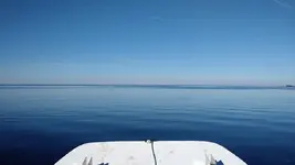 10891631_1533835700205755_187544071511366129_n[1].webp