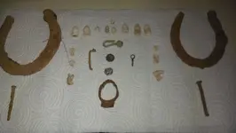 IMAG1303.webp