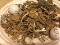 ImageUploadedByTreasureNet.com1419966157.562037.webp