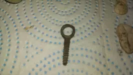 IMAG1308.webp