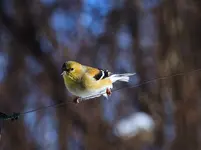 054.webp