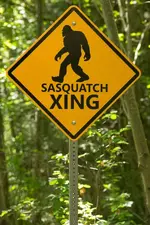 sasquatch-crossing.webp