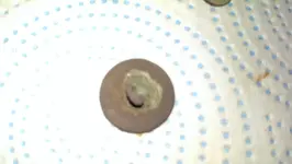 IMAG1312.webp