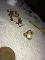 06_Pearl_Earring.webp 06_Pearl_Earring.webp
