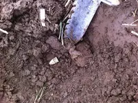 photo 3.webp