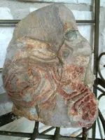 ImageUploadedByTreasureNet.com1422490827.173079.webp