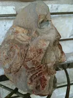 ImageUploadedByTreasureNet.com1422490842.390316.webp