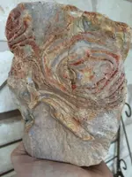 ImageUploadedByTreasureNet.com1422491030.773472.webp