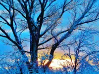 FSCN7750.webp