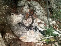 DSCF0721.webp