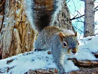 FSCN9703.webp